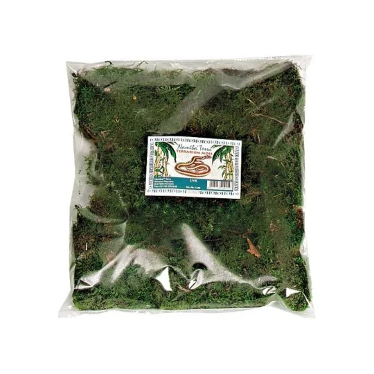 Namiba® Mousse de forêt, sèche, artificiel coloré, sac de 4 litre 