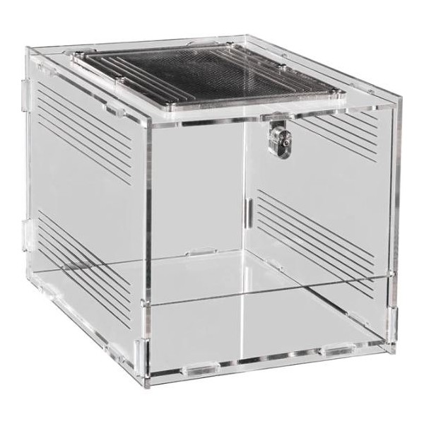 insectarium en acrylique repto terra clear 20x15x15 de repto r1100765