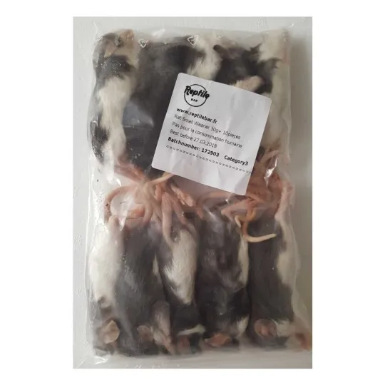 raton +20g de reptile bar 300231