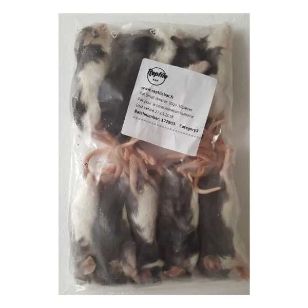 raton +20g de reptile bar 300231