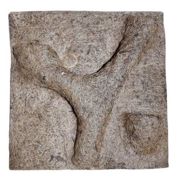 fond de terrarium a planter coco 30 x 30 de euro-zoo c10122