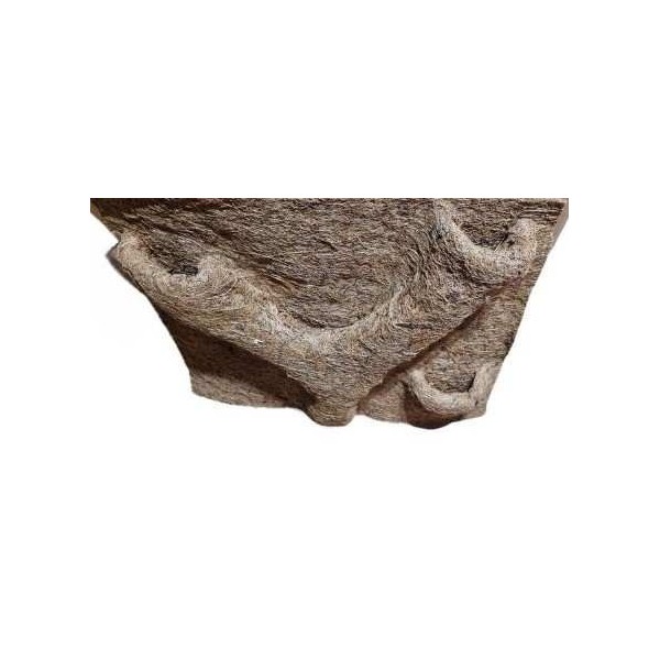 fond de terrarium a planter coco 30 x 30 de euro-zoo c10122