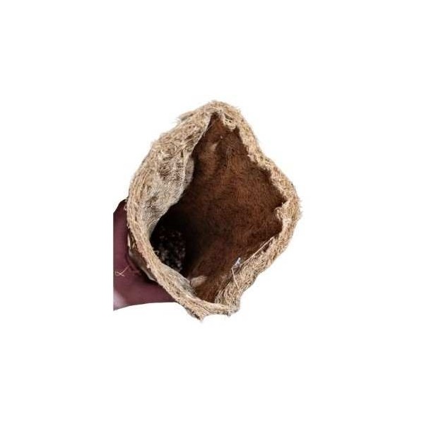 tube coco a planter, 5 cm de euro-zoo c10115