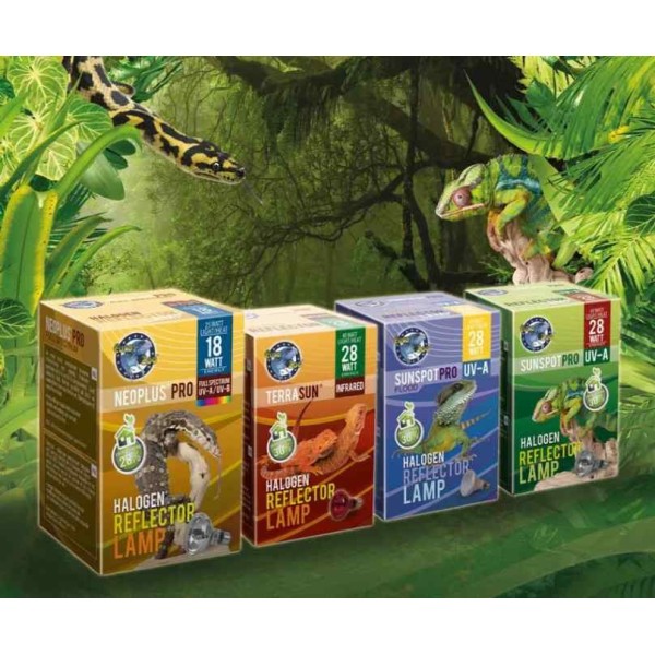 ampoule chauffante sun evolution flood de euro-zoo l10124