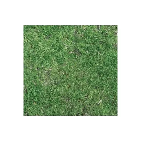 Namiba® Mousse de forêt, sèche, naturelle, sac de 4 litre 