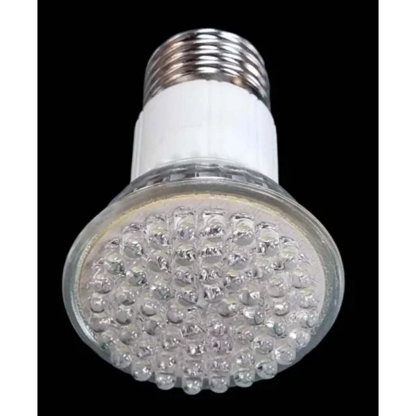 Ampoule LED Reptilux Daylight 3W 60 leds