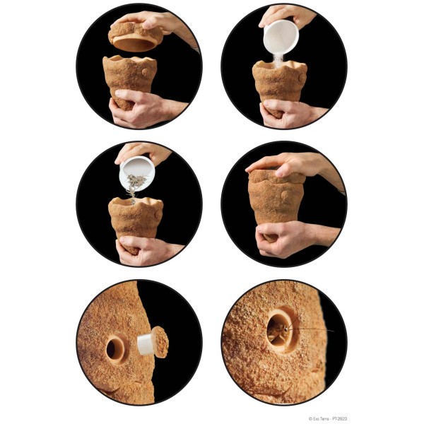 distributeur de grillon termite hill exo-terra de exo-terra pt2867