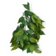 plantes artificielles pour terrarium ficus de euro-zoo kp10136