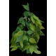 plantes artificielles pour terrarium ficus de euro-zoo kp10136