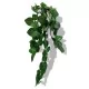 Plantes artificielles pour terrarium Mini pothos KP10148