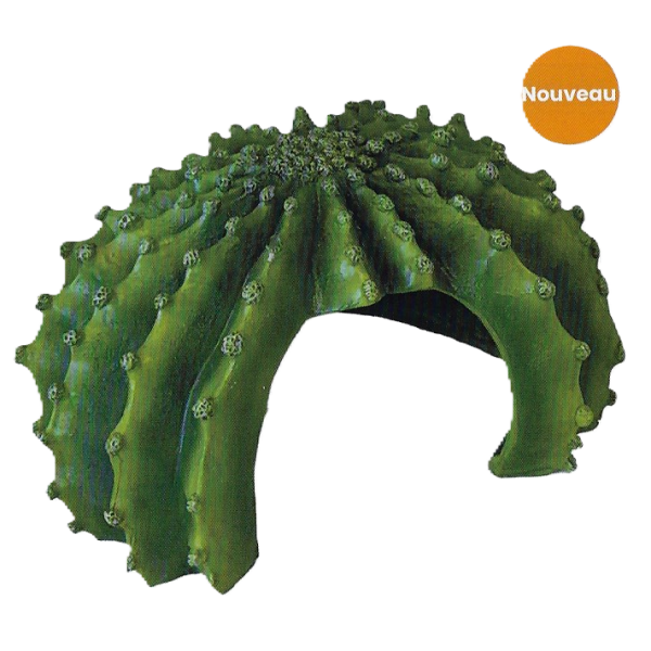 cachette pour reptile en forme de cactus xl de repto r5100330