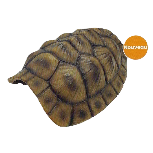 cachette en forme de carapace de tortue xl de repto r5100375