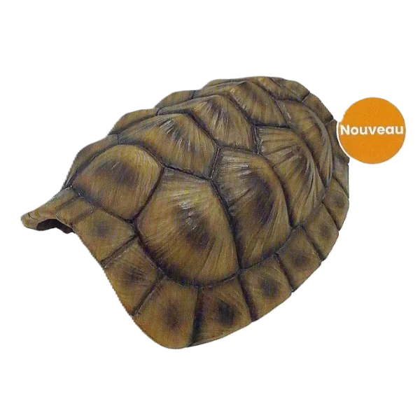 cachette en forme de carapace de tortue xl de repto r5100375