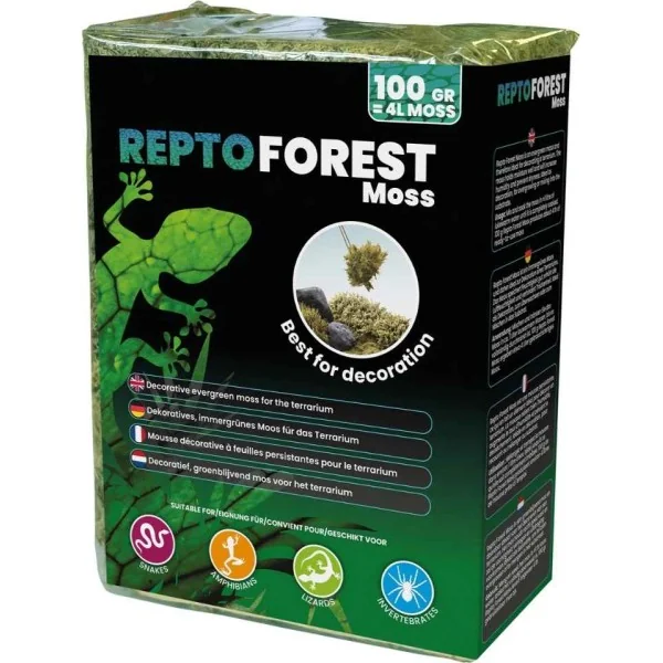 mousse de foret 100g pour terrarium de repto r5100490