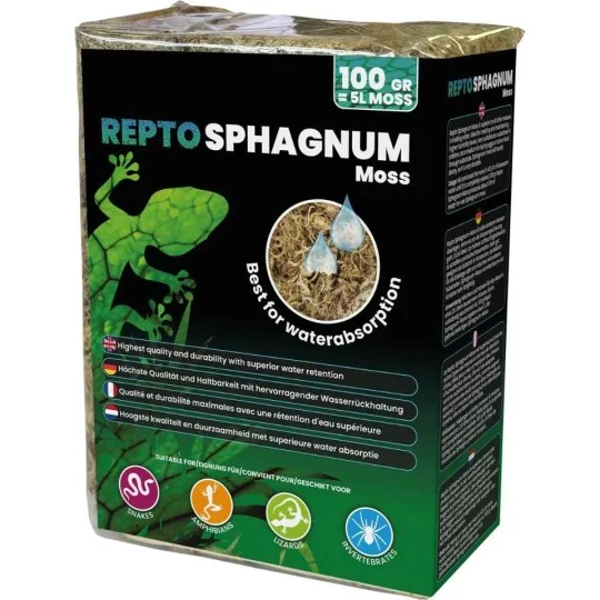 mousse de sphaigne 100g pour decoration de terrarium de repto r5100485