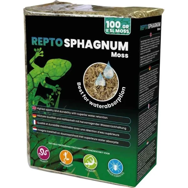 mousse de sphaigne 100g pour decoration de terrarium de repto r5100485