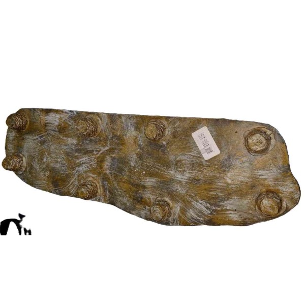 platteforme pour lezard, 64,5 x 22,8 x 6 cm de euro-zoo s2bp