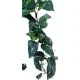 Plantes artificielles_Plante artificielle Pothos 1,8 m 114 Feuilles_Euro-zoo_KP10108