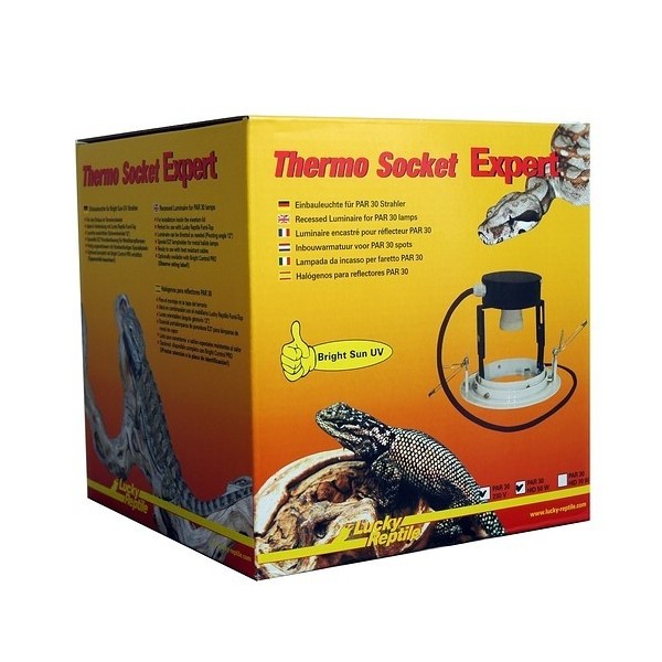 Thermo Socket Expert + ballaste 70W pour bright sun Lucky reptile