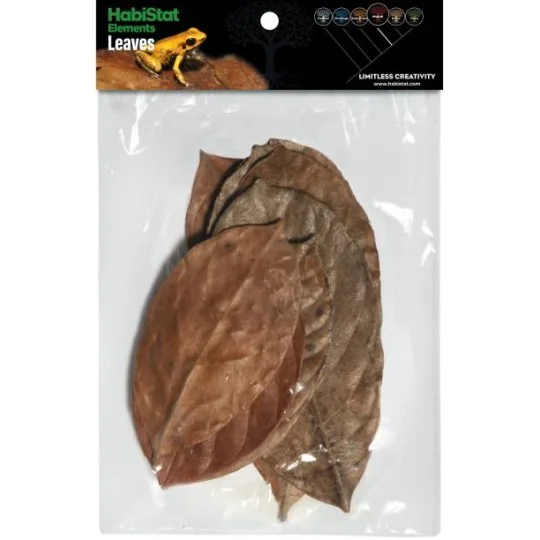 Feuille de JACQUIER x10 Habistat