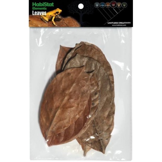 Feuille de JACQUIER x10 Habistat