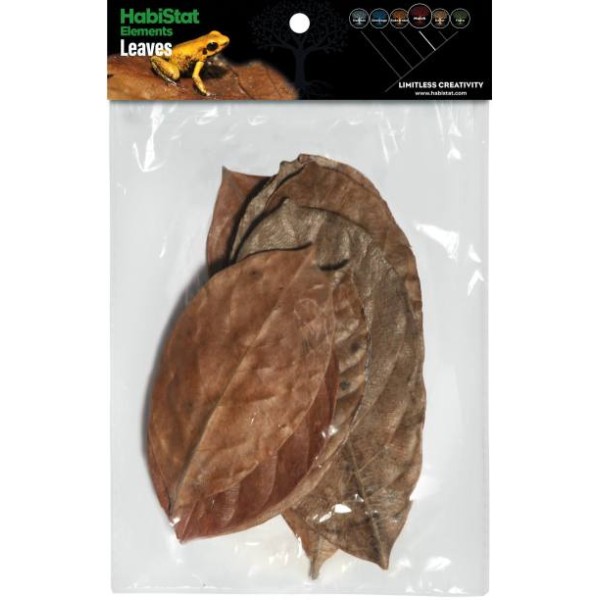 Feuille de JACQUIER x10 Habistat