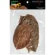Feuille de JACQUIER x10 Habistat