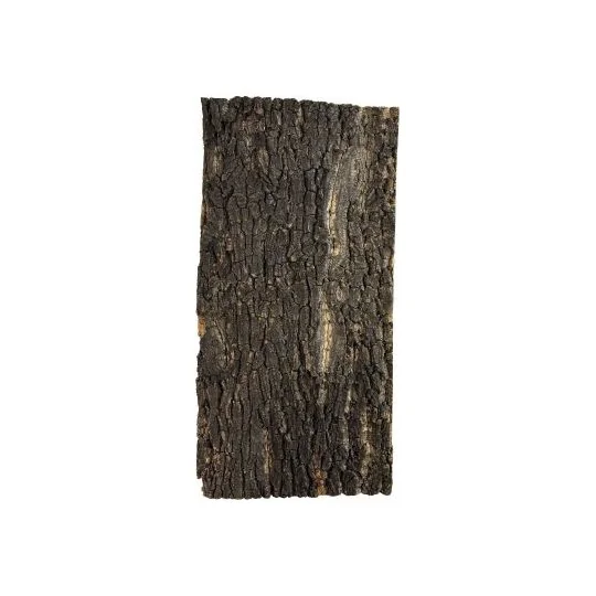 Plaque de liège pour terrarium