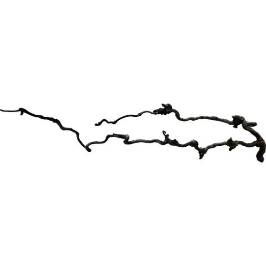 Branche naturelle structurée pour reptile de 60-80 cm