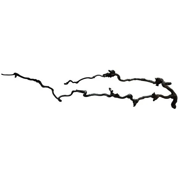 Branche naturelle structurée pour reptile de 60-80 cm