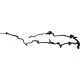 Branche naturelle structurée pour reptile de 60-80 cm