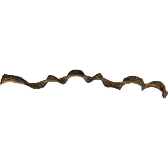 Liane naturelle torsadé de 95 cm pour terrarium