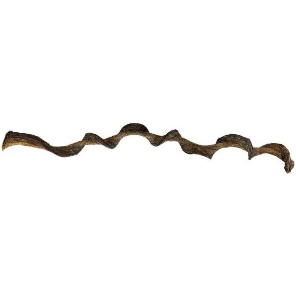 Liane naturelle torsadé de 95 cm pour terrarium