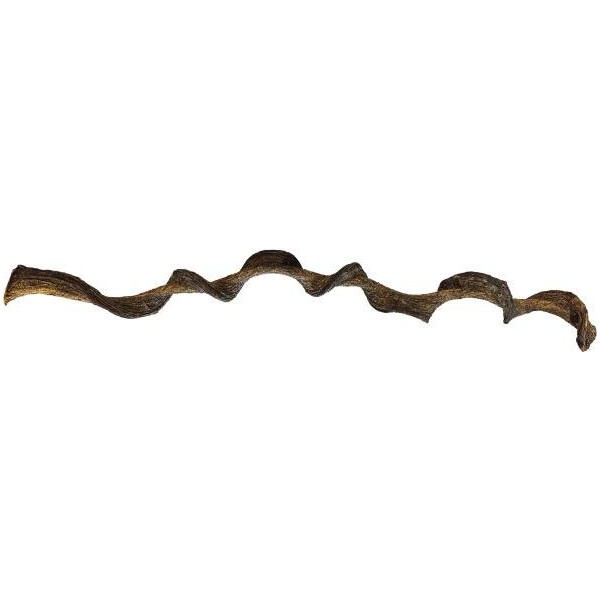 Liane naturelle torsadé de 95 cm  pour terrarium