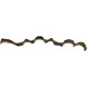 Liane naturelle torsadé de 95 cm pour terrarium