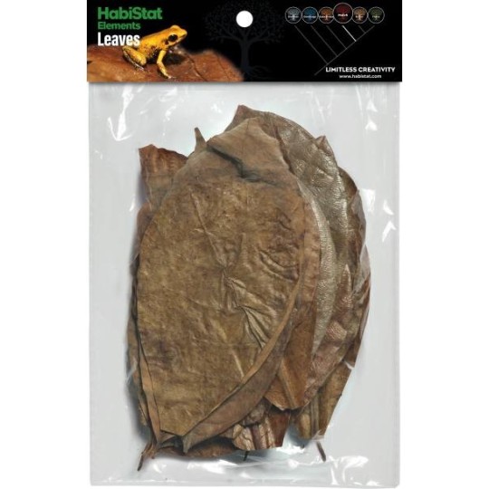 Mélange de 30 feuilles pour terrarium Habistat