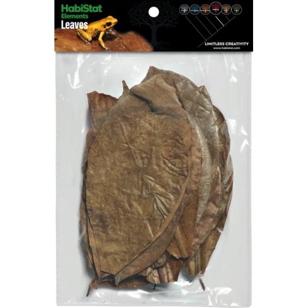 Mélange de 30 feuilles pour terrarium Habistat