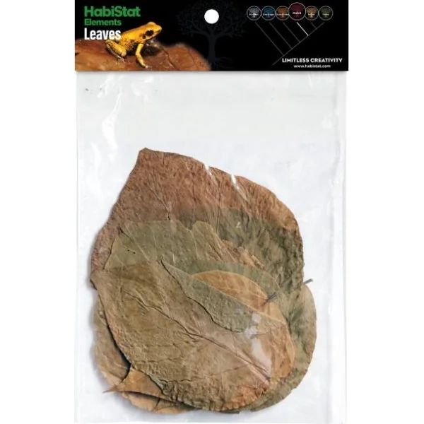 Feuille de DADAP x10 Habistat