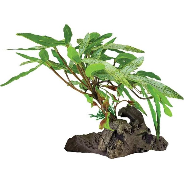 Plante artificielle sur racine à feuille pointue