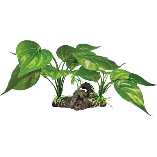 ensemble de plante verte artificielle sur racine pour reptile