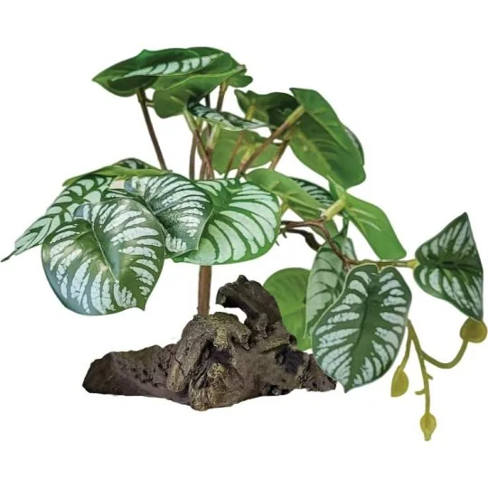 Bégonia artificiel pour terrarium