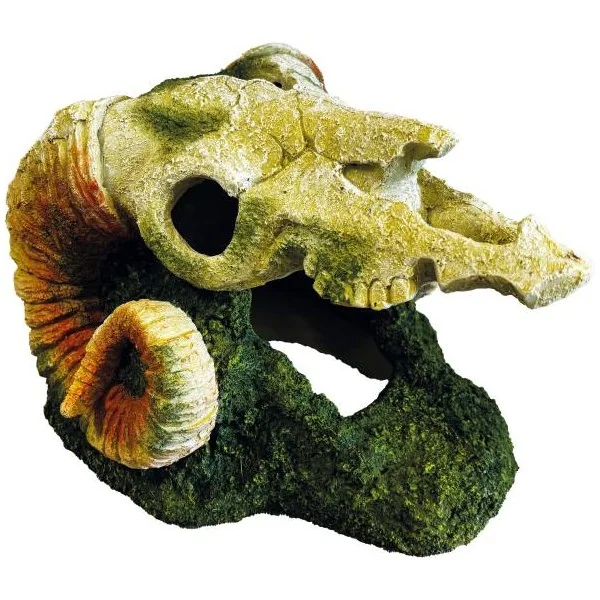 Crâne de bélier pour décorative pour terrarium