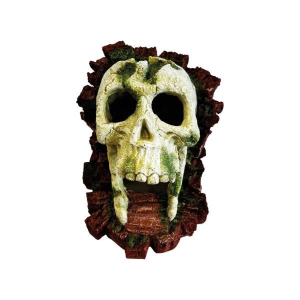 Crâne artificiel de gorille pour décoration