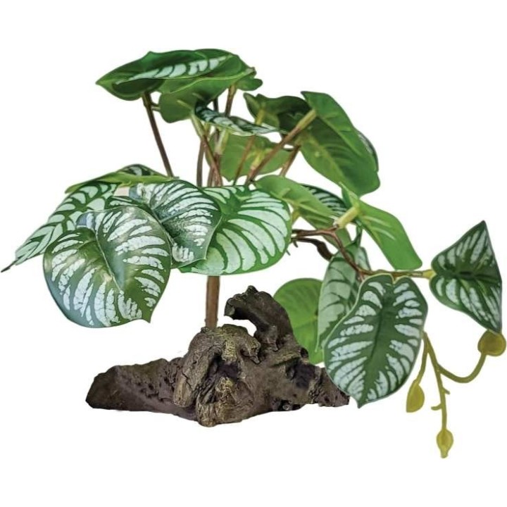 Bégonia artificiel pour terrarium (4193)