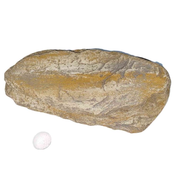 cachette effet rocher 24 x 16 x 6 cm de euro-zoo s1rt (4042),cachette effet rocher 24 x 16 x 6 cm de euro-zoo s1rt (4043),cachet