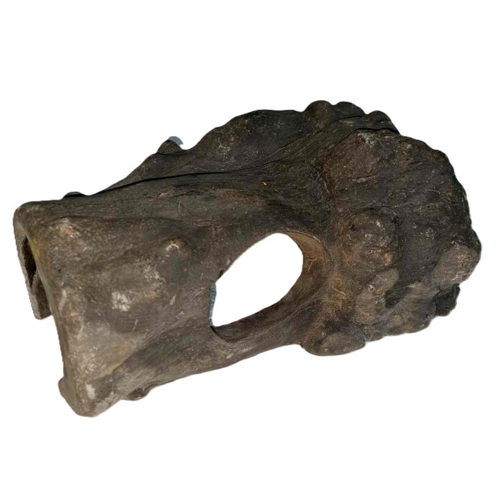cachette imitation bois noir pour reptile de euro-zoo cibn (4062),cachette imitation bois noir pour reptile de euro-zoo cibn (40