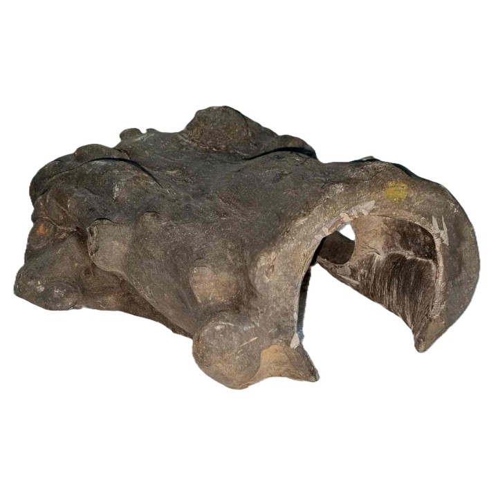 cachette imitation bois noir pour reptile de euro-zoo cibn (4062),cachette imitation bois noir pour reptile de euro-zoo cibn (40