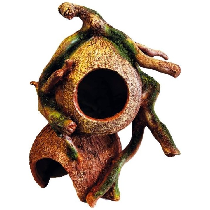 Noix de coco enracinée pour terrarium et aquarium (4208)
