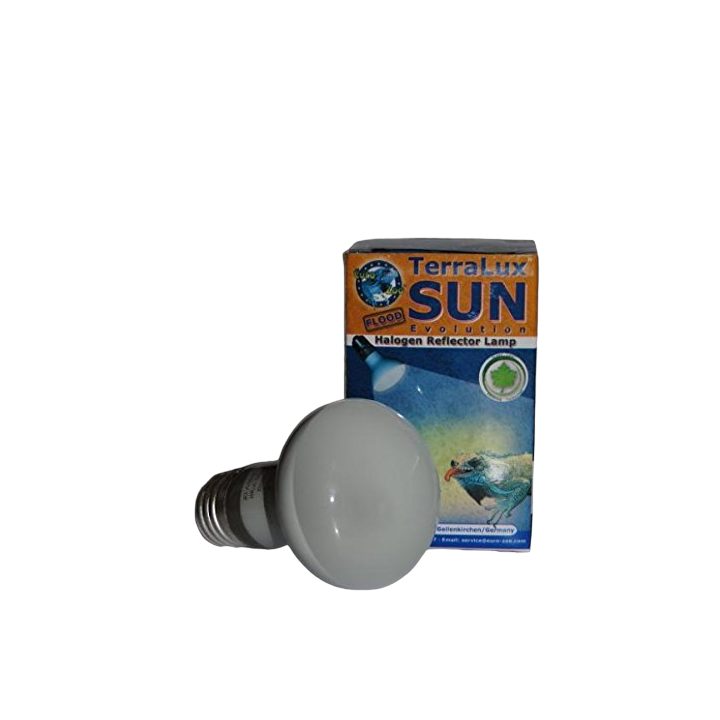 ampoule chauffante sun evolution flood de euro-zoo l10124 (2638),ampoule chauffante sun evolution flood de euro-zoo l10124 (3759
