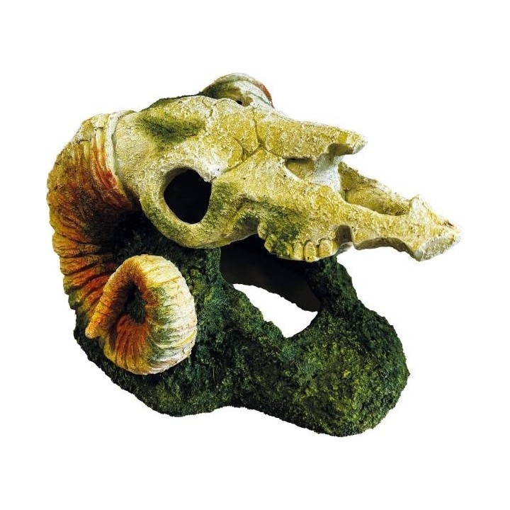 Crâne de bélier pour décorative pour terrarium (4198)